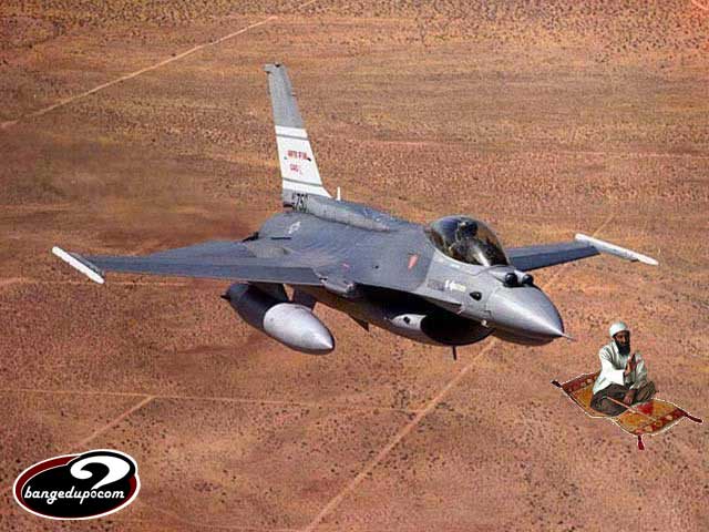 Funny picture of the day